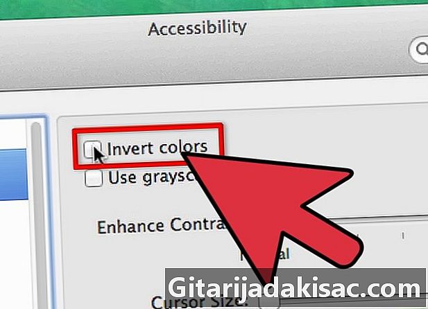 Hur man inverterar skärmfärger på en Mac