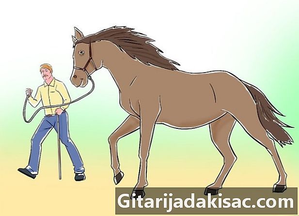 Bagaimana bermain Tujuh Permainan Parelli dengan kuda anda