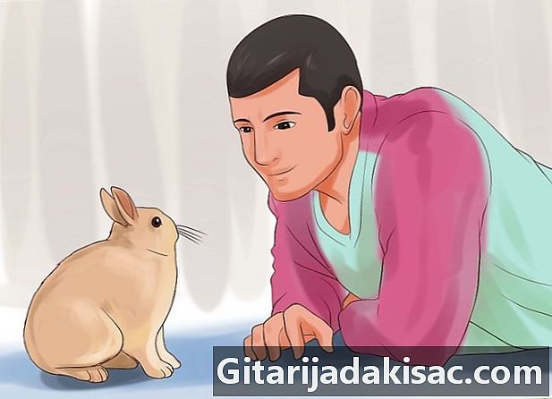 Hvordan leke med kaninen sin