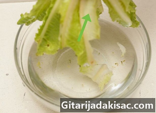 Hogyan lehet mosni a salátát