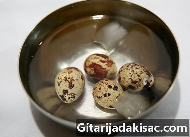 Kako jesti prepeličja jajca