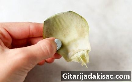 Cara makan artichoke