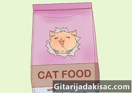Jak dát vaší kočce dietu
