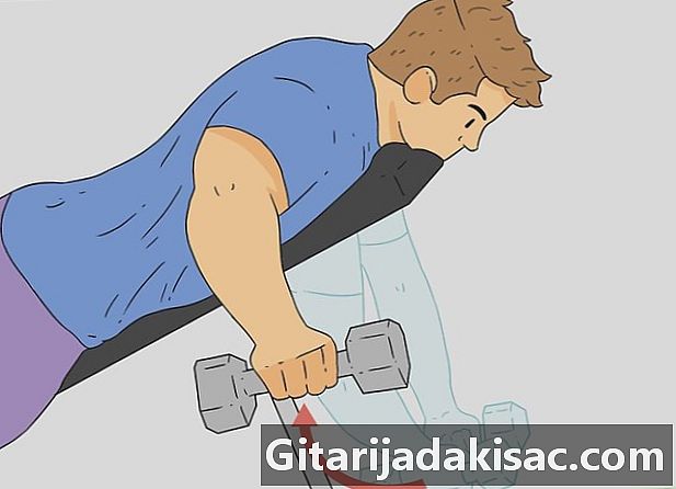 Cara menggerakkan otot deltoid