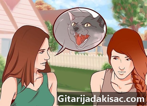 Kako se više ne bojati mačke