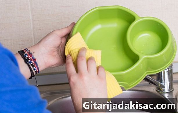 כיצד לנקות את קערת המים או האוכל מכלב
