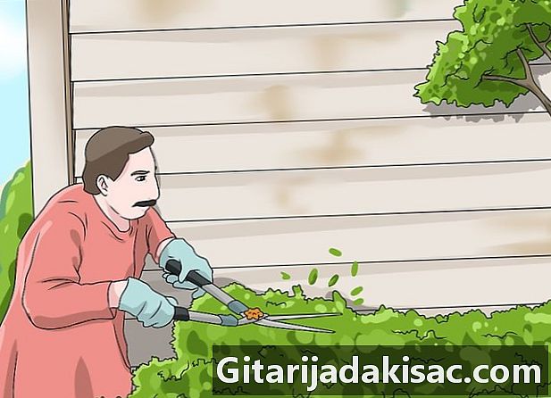 كيفية تنظيف انحياز منزلك الخارجي بدون غسالة الضغط