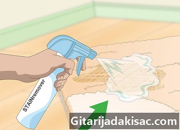 如何清洁猫的尿液